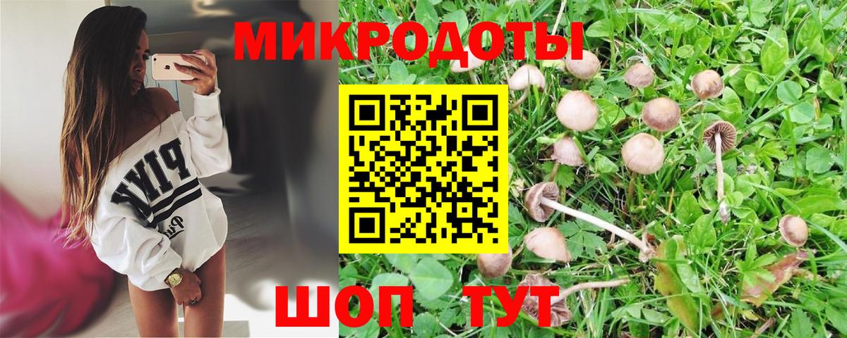 Галлюциногенные грибы ЛСД  Вход с VPN  Шелехов 